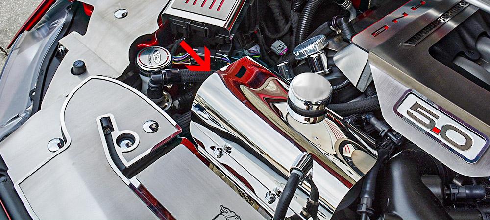 Water Tank Cover w/Cap Covers 2p for 2015-2020 Ford Mustang [Stainless/Polished]